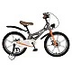 Children's bicycle 18" GTR grey
