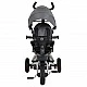 Tricycle Flexy Lux dark gray