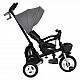 Tricycle Flexy Lux dark gray
