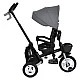 Tricycle Flexy Lux dark gray