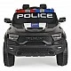 Battery Jeep Ram Mammoth 1000 black