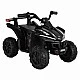 Battery-powered buggy Dune, metallic black