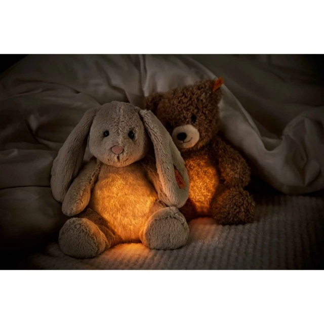 Нощна лампа Caspar Teddy bear Размер: 28 см
Клас: Friends