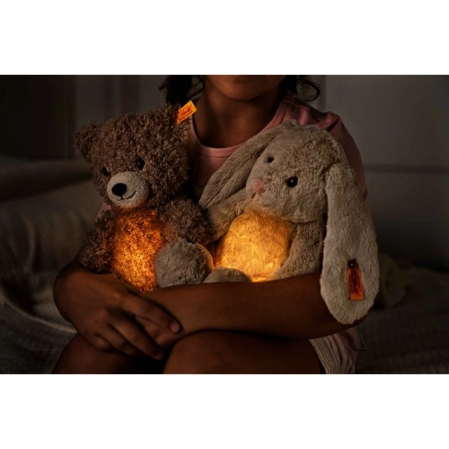 Нощна лампа Caspar Teddy bear Размер: 28 см
Клас: Friends