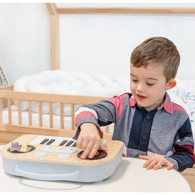 Musical toy - electronic DJ set Age: 2+