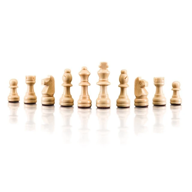 Magnetic Chess Age: 5+