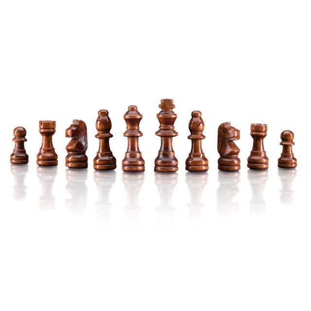 Magnetic Chess Age: 5+