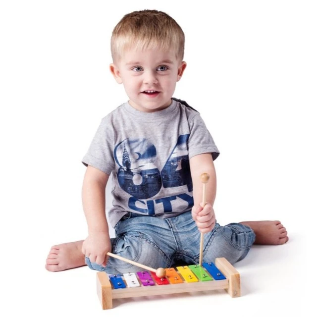 Wooden Xylophone Age: 1+