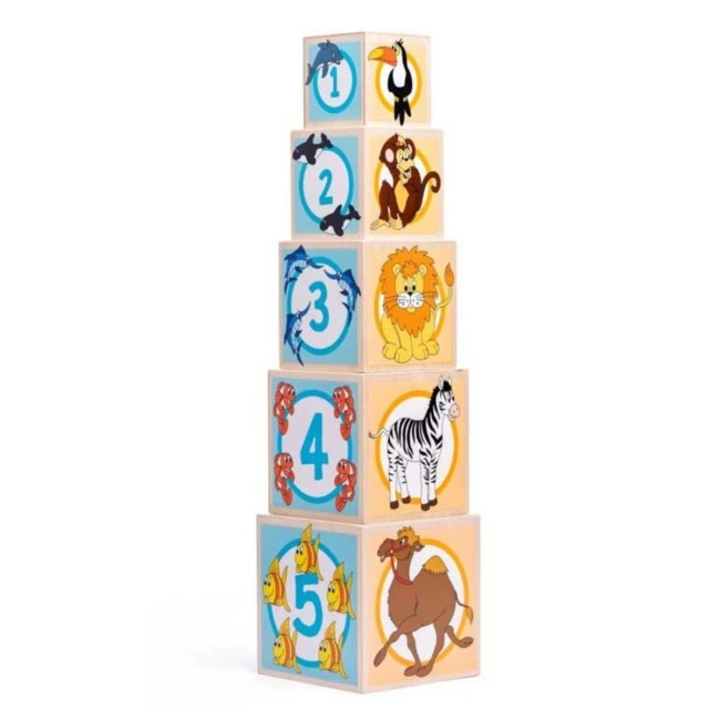 Wooden animal sorter cubes Age: 1+