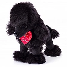 Plush dog Poodle Charlie Size: 25 cm