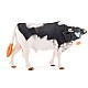 Tractor with bull and accessories, 8 parts Age: 3+ Number of parts: 8