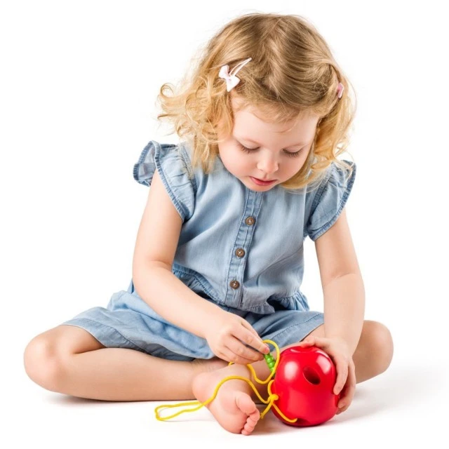 Wooden apple and sewing worm Age: 2+