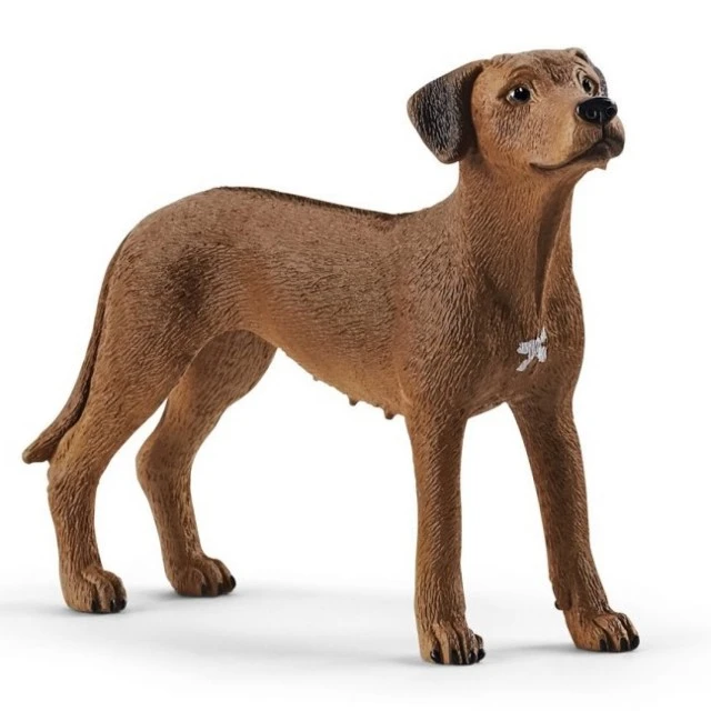 Фигурка Куче Родезийски риджбек, Schleich Възраст: 3+
Размер: 6.5x5.1x2 см