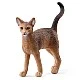 Фигурка Коте Абисинска, Schleich Възраст: 3+
Размер: 6x5x1.5 см