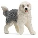 Figurine Dog English Shepherd, Schleich Age: 3+ Size: 7.7x5.7x2.5 cm