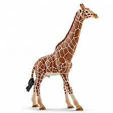 Фигурка Жираф, Schleich Възраст: 3+
Размер: 9х17.2x4.2 см