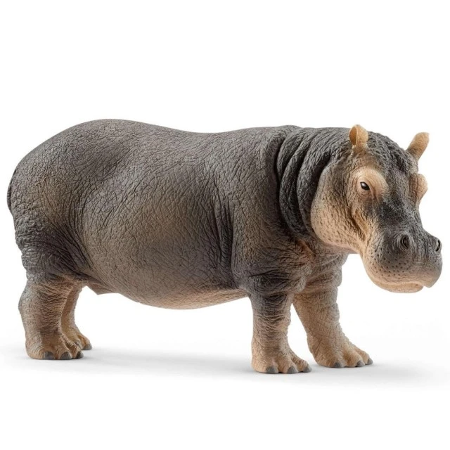 Фигурка Хипопотам, Schleich Възраст: 3+
Размер: 13.4x6x5.3см