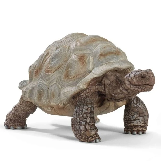 Giant Turtle Figurine, Schleich Age: 3+ Size: 4.3x7.8x4.1 cm