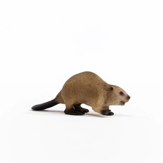 Фигурка Бобър, Schleich Възраст: 3+
Размер: 9.8х3.5х2.8см