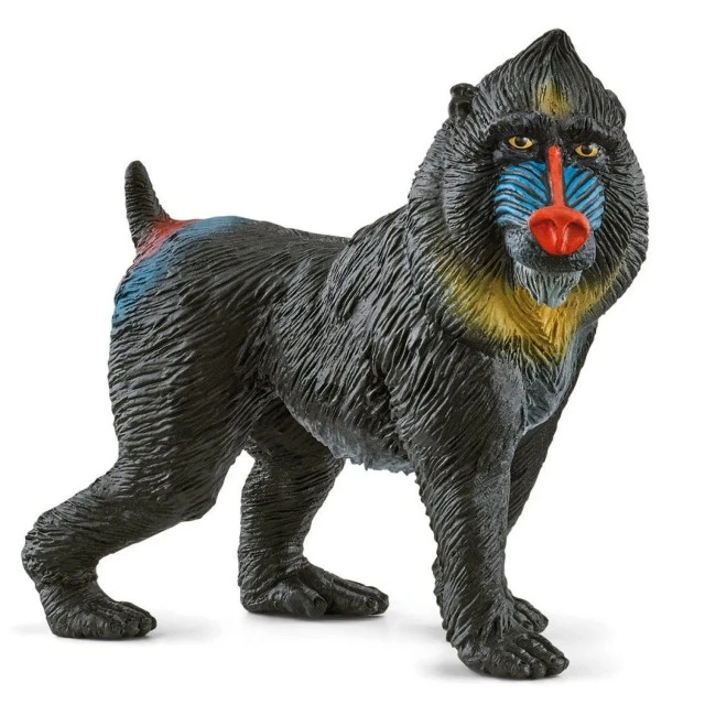 Фигурка Маймуна Мандрил, Schleich Възраст: 3+
Размер: 6.5х6.1х3см