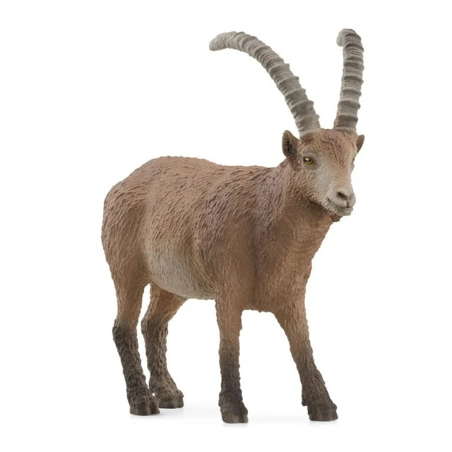 Фигурка Ибис, Schleich Възраст: 3+
Размер: 9.2х3.2х4.6см