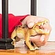 Фигурка Динозавър, Schleich Възраст: 3+
Размер: 21.6х7.7х6.5см