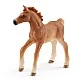 Set English Thoroughbred Horse and Child, Schleich Age: 3+ Size: 19x11.5x5.3 cm