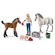 Комплект Ветеринар на визитация , Schleich Възраст: 3+