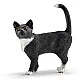 Playtime with Kittens Set, Schleich Age: 3+