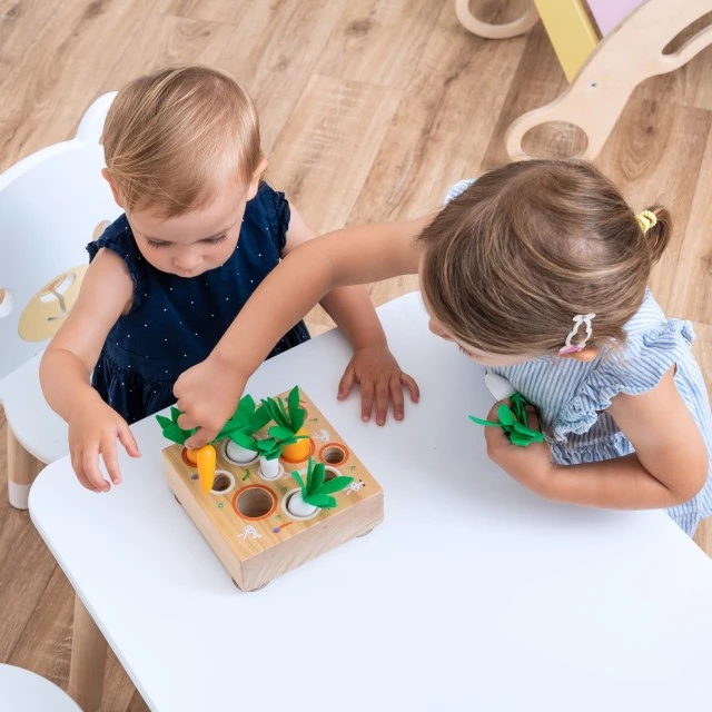Wooden Sorter Game Carrots Age: 2+