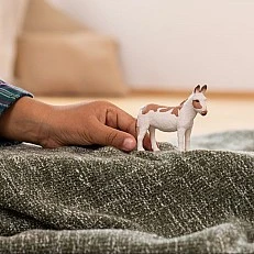 Фигурка Американско петнисто магаре, Schleich Възраст: 3+
Размер: 15х3х8 см