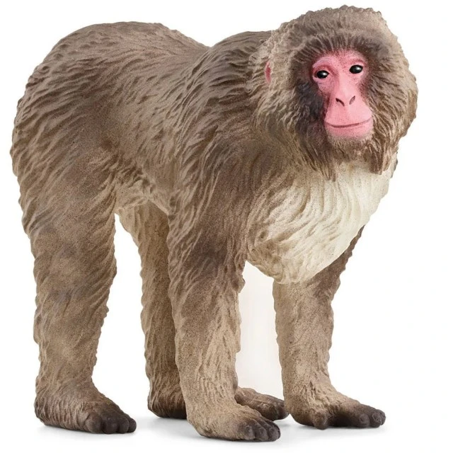Фигурка Японски макак, Schleich Възраст: 3+
Размер: 6.9х3.1х5.5см