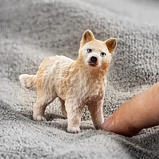 Фигурка Арктическо Вълче, Schleich Възраст: 3+
Размер: 5х1.8х4см