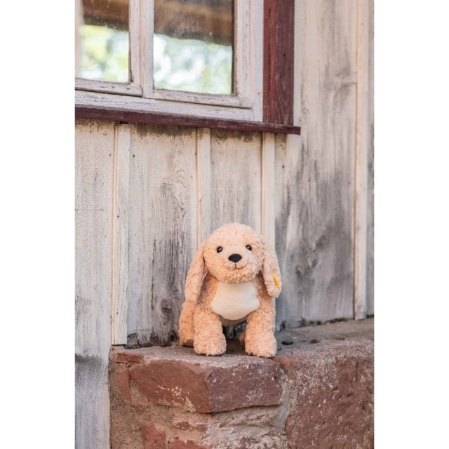 Berno Goldendoodle Размер: 36 см
Клас: Friends