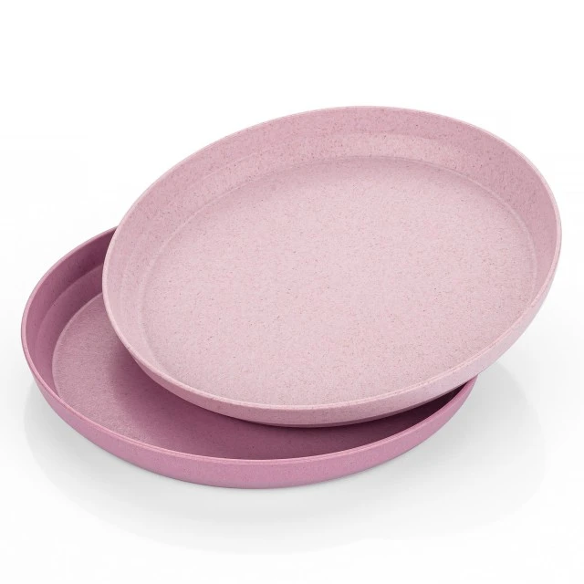 22074 Reer set of 2 plates pink