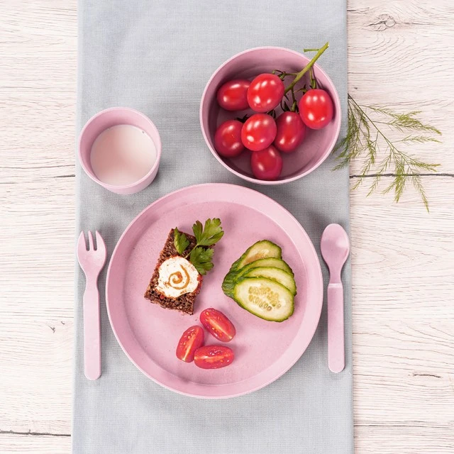 22074 Reer set of 2 plates pink
