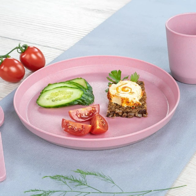 22074 Reer set of 2 plates pink