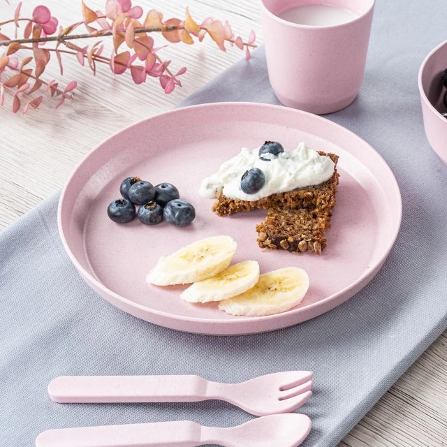 22074 Reer set of 2 plates pink