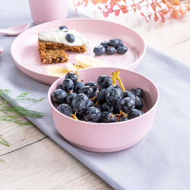 22084 Reer set of 2 bowls pink