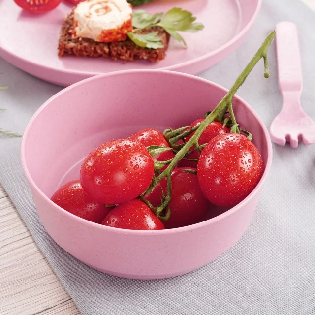 22084 Reer set of 2 bowls pink