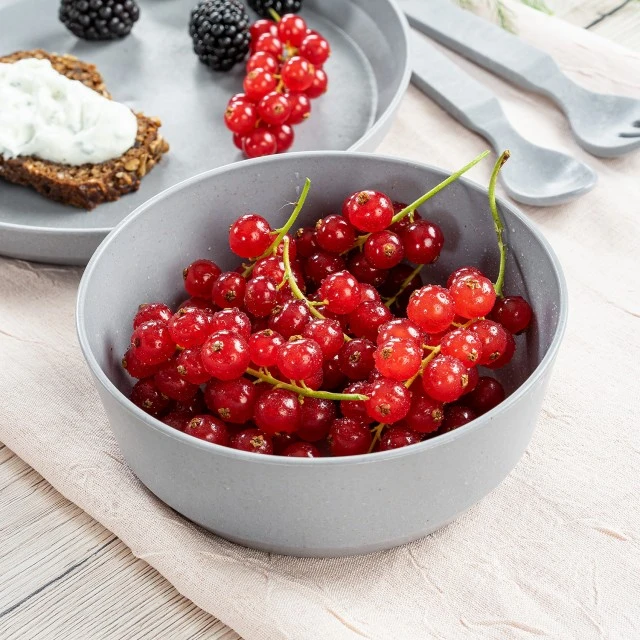 22043 Reer set of 2 bowls blue/grey