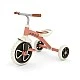 Chillafish Ziggi CPZG01SAL tricycle Salmon