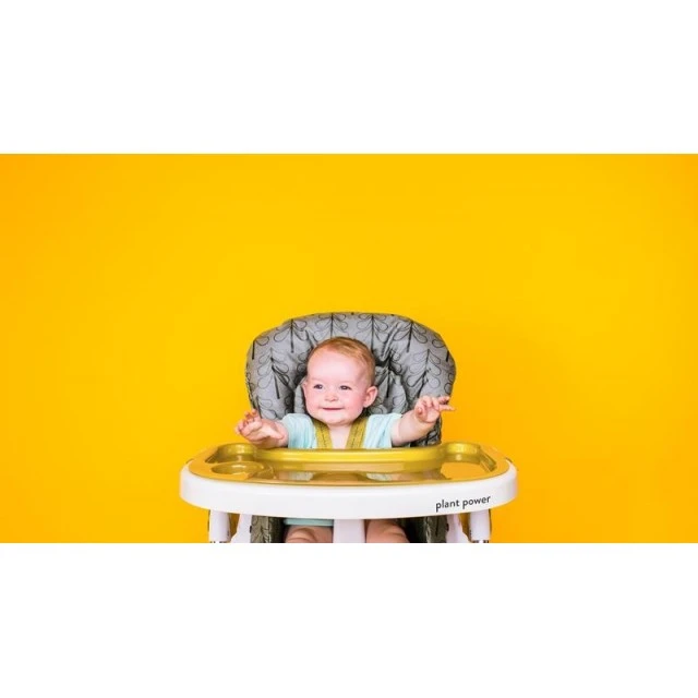 Cosatto CT4217 NOODLE 0+ FIKA FOREST high chair