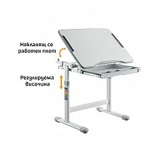 RFG Ергономичен ученически чин и стол Ergo Tech B207, сив цвят