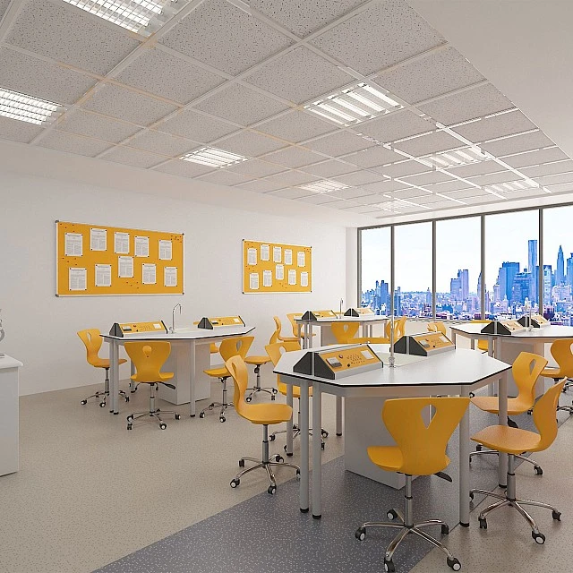 RFG chemistry and biology classroom Hexa for 24 students white/yellow