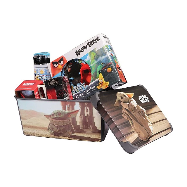 Disney The Mandalorian set storage box 10 L, cup, plate and breakfast bowl, Mickey bottle 500 ml, glass and porcelain mug