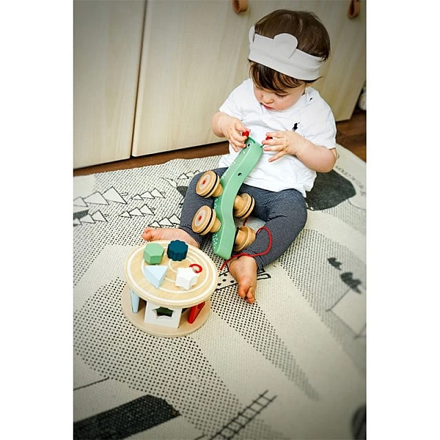Small Foot wooden pull-along Snail with sorter