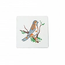 Nowa Szkola Puzzle Birds, wooden, 5 pieces