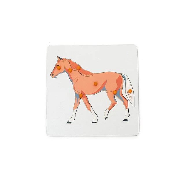 Nowa Szkola Puzzle Horse, wooden, 7 pieces