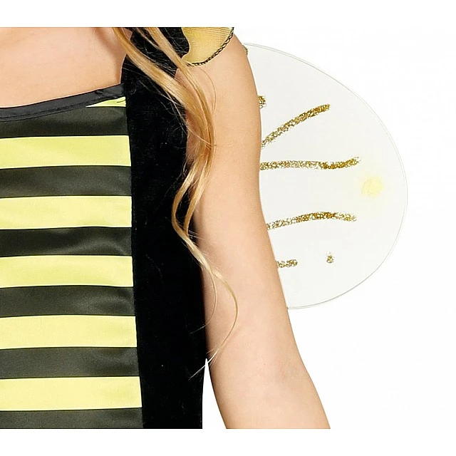 Bee costume, for children 10-12 years